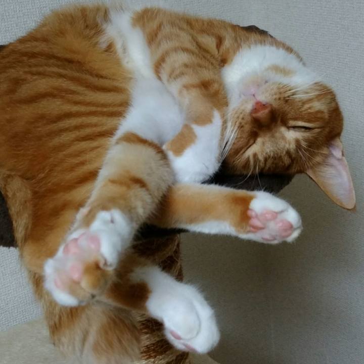 36e97926 7470 46e5 8318 e11405181a4f 1567937456535