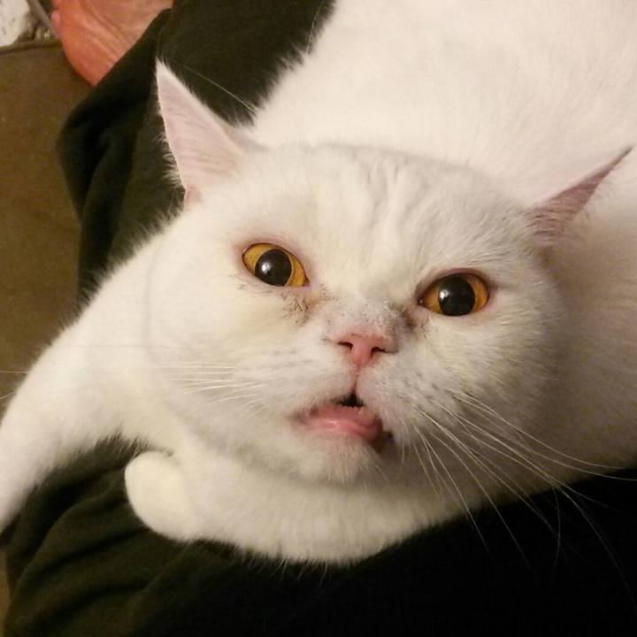 36e987ee 0462 49bf 8f3d 562ef8880c79 1599352343010