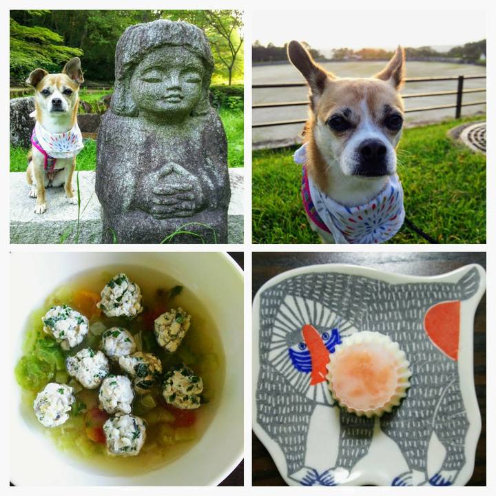 36e99ba7 d31a 4528 8ca2 5fb64dc5d042 1597391210843