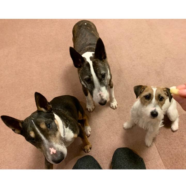 36e9a2b0 f179 4160 b432 138f43eb156d 1585575031800