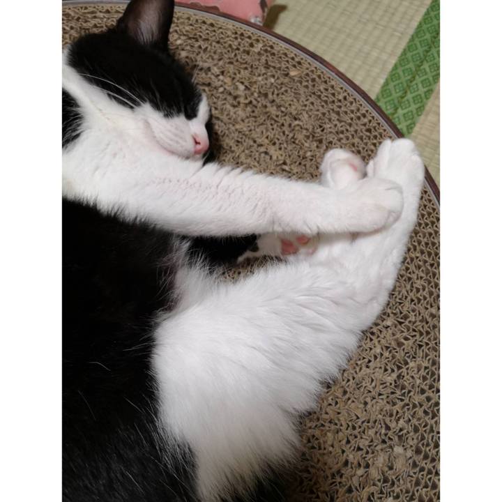 36e9a6fc 10a6 4ece ab03 5ce27ba41d2f 1663131921978