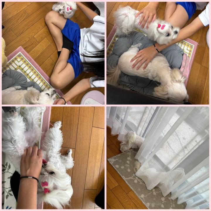 36ea17ef f15a 4c38 a075 e2a23c3096f6 1759918050543