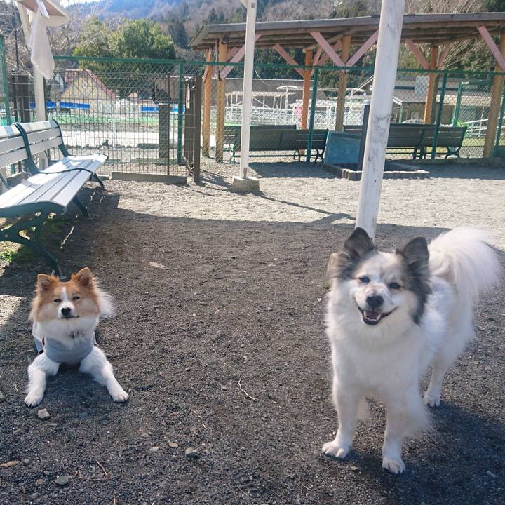 36eaa4e1 2124 4179 b86b 718ada5b2cf6 1553085915458