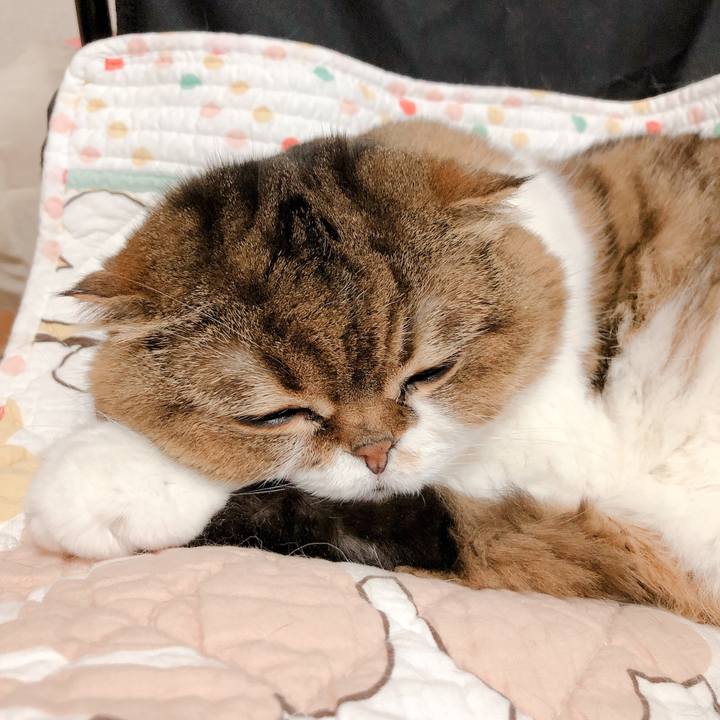 36eaa72d 73be 4f17 a7e3 758655e22ac3 1558409118026