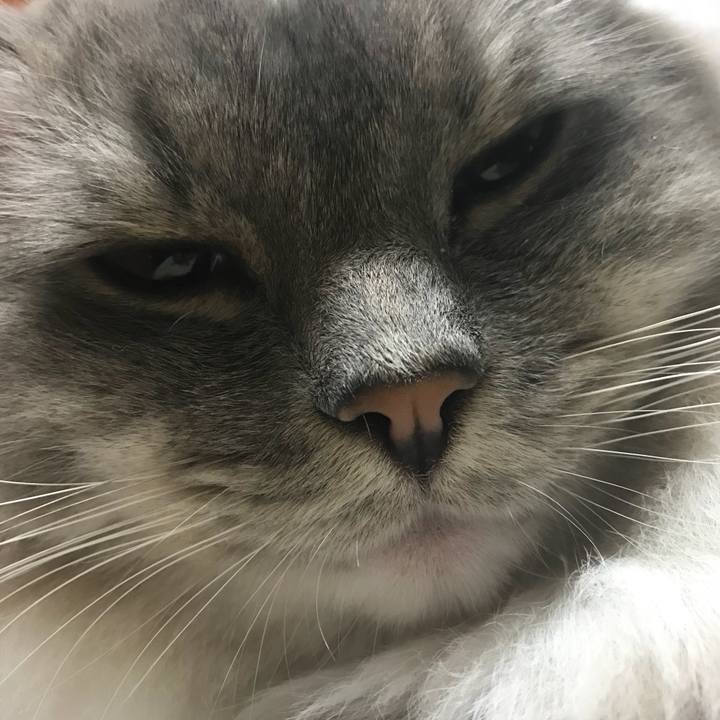 36eae5f2 6c8d 497e 845b ff2b16666090 1511853926103