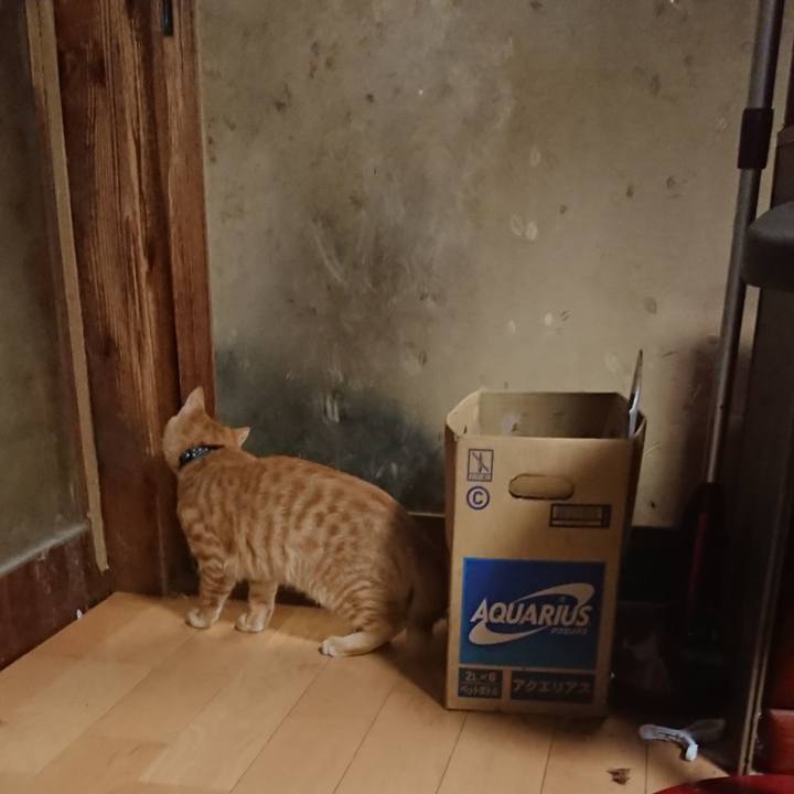 36eaea88 2b71 43b3 9e83 b9a9e2355700 1636018198482