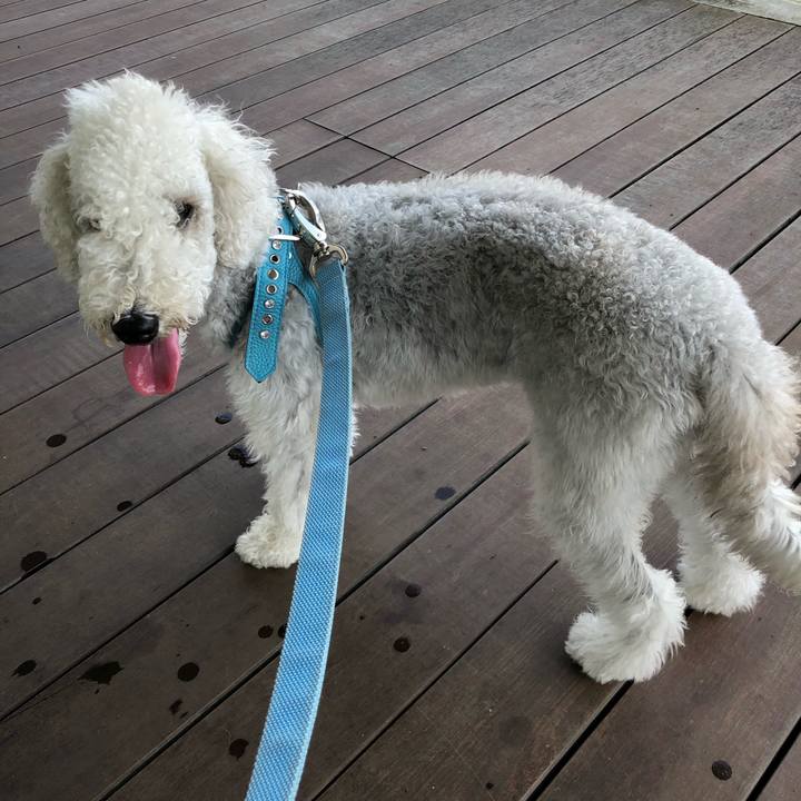 36eb041f 55e9 4517 90cb c071de41eda3 1595119759063