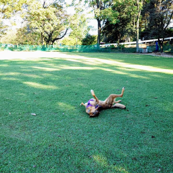 36eb3db5 4e19 4642 848c f28bb2086e0d 1757120458264