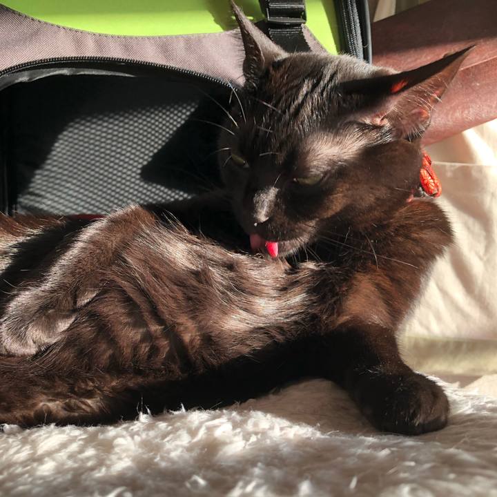 36eb4e21 dc98 4a12 87ed 19c6e93af135 1548286999964