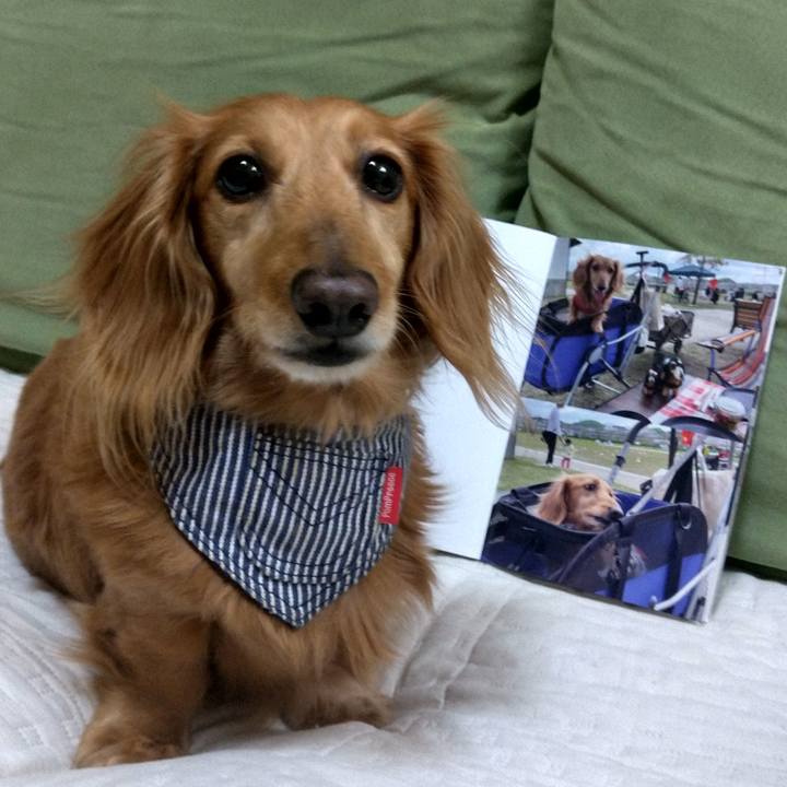 36eb853d 4098 49d4 8485 7d2ceedd7dd1 1684675269714