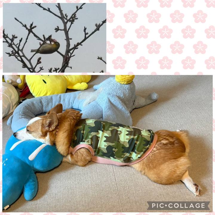 36eb8d20 f947 4534 a226 df36c36d25f2 1771803018269