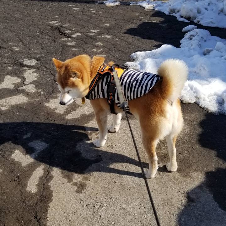 36ebb89c bb5f 4a96 a707 a8e589fecff5 1643696964849