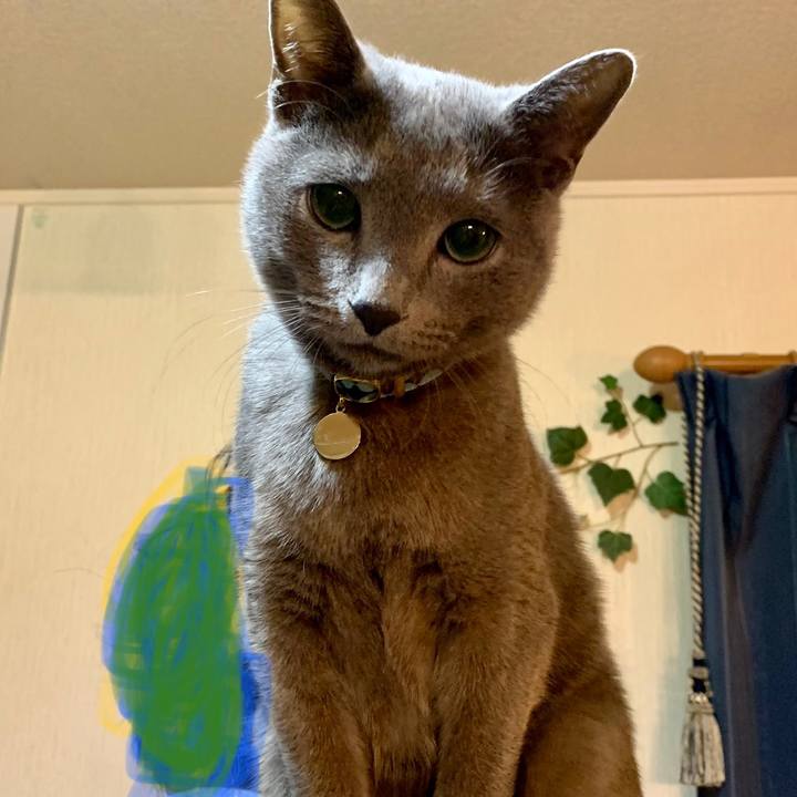 36ebd9b8 5878 47b0 bc3c e7414c2713a1 1579420587293