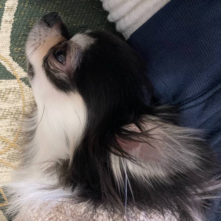 36ebeac7 75a0 4a15 83f4 614a2dbbbc71 1644575897866