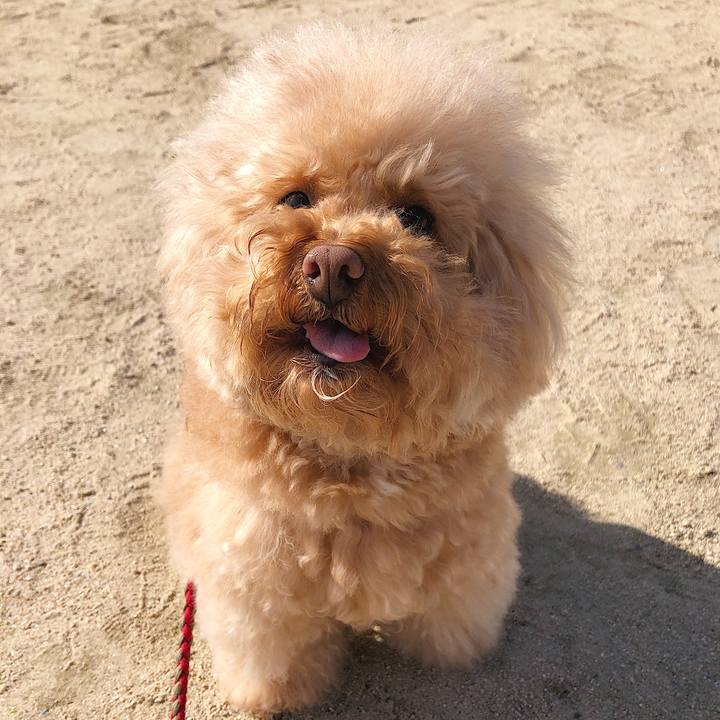 36ebf437 5416 4ca2 8670 74c3a375e094 1549359896524