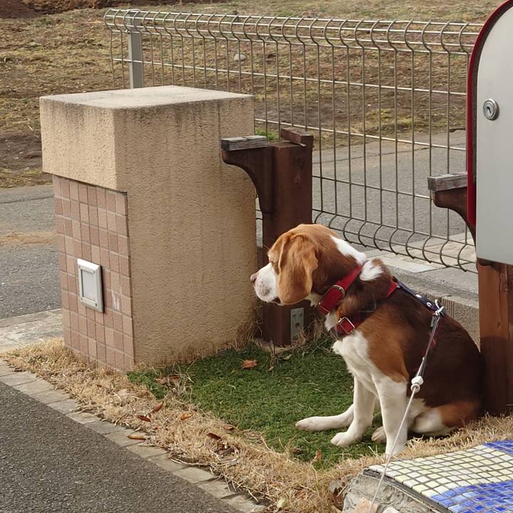 36ec0e5e dbfa 4d00 88a9 47d382d9f619 1676183020622