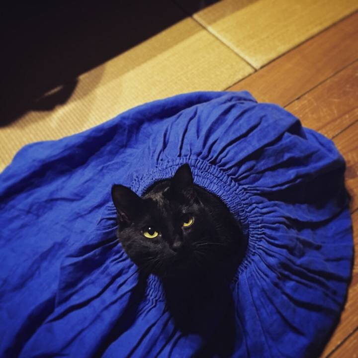 36ec124a 885b 4649 8a2c b2d77cff9335 1520433347860