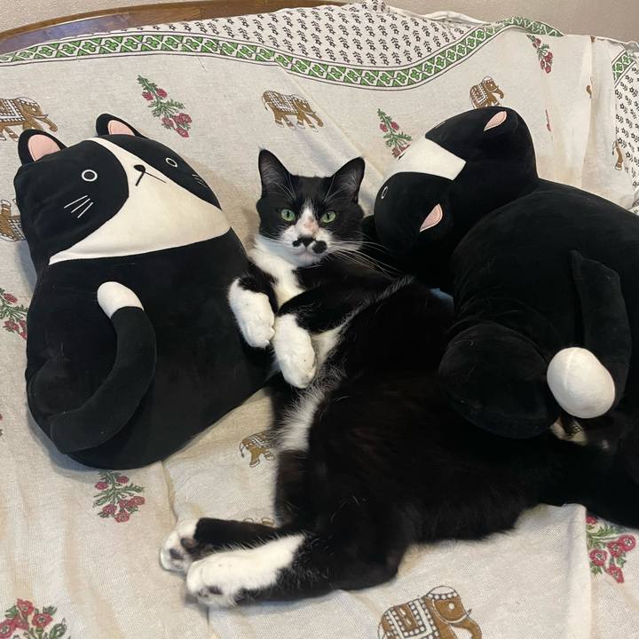 36ec4f94 ca29 4697 b0a0 b6d96c804841 1744626397082