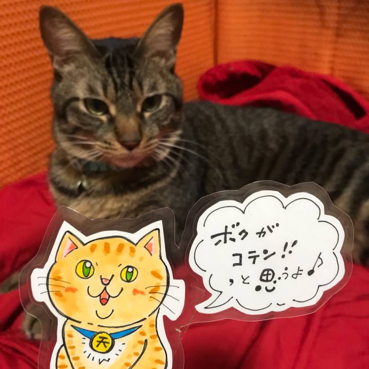 36ec926b fc88 4594 a9ad c57c39387939 1542906780250