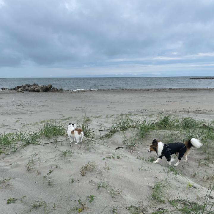 36ec9c25 ad84 40bb 8074 efec2ef2ce06 1719882488428