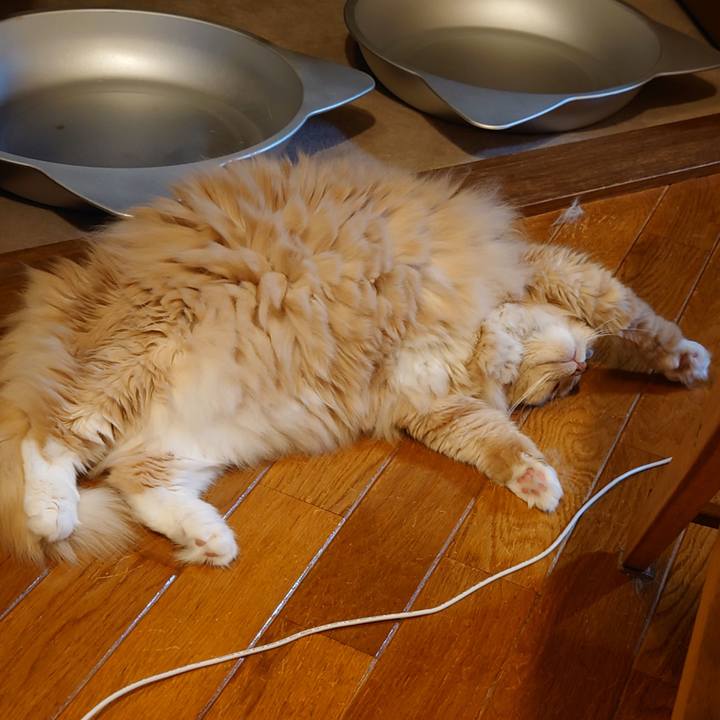 36ecae28 492b 4815 a11e 1aeb760adc74 1694963726201