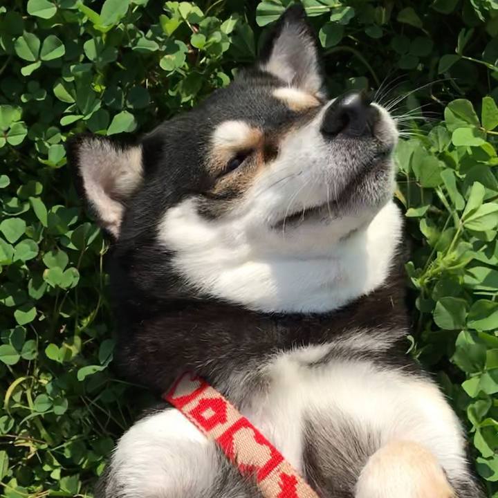 36ececfa 8662 4c58 86bd 1dfd7c075fc6 1548210848150