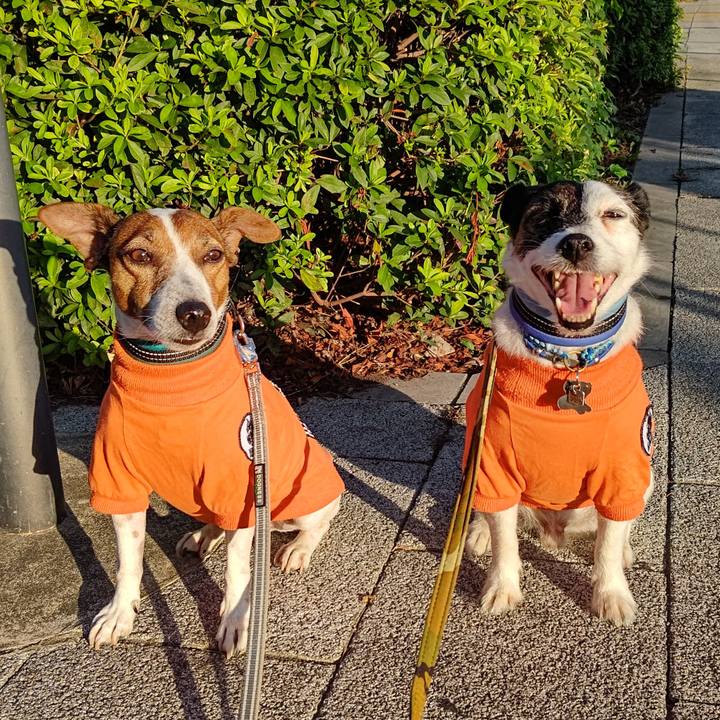 36ed3f20 85fb 4c9b b955 06b5bb81b8ef 1695075091359