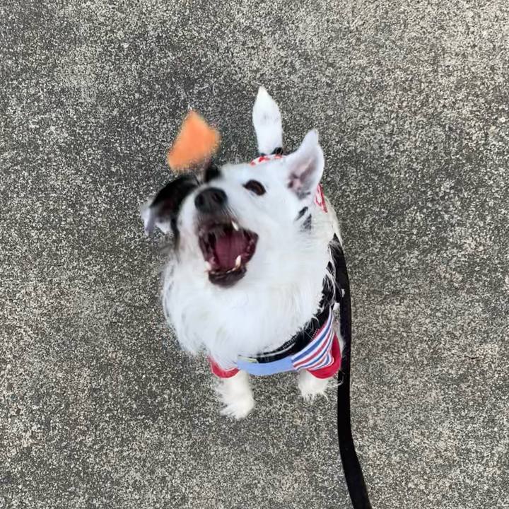 36ed4339 6726 4e5e a617 fa35996ca0e8 1705625615784