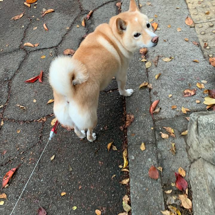 36ed519d 4c1f 4ffa a5e0 cf8648956af0 1636326503899