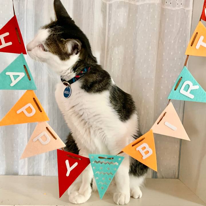 36ed76a8 9ee5 4a46 a627 038afb8d24a9 1664285362507