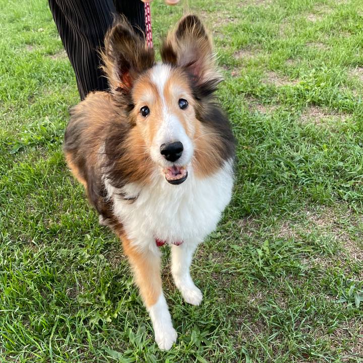 36ed9525 f50c 425b 88c1 aabe1105eab0 1630231284738