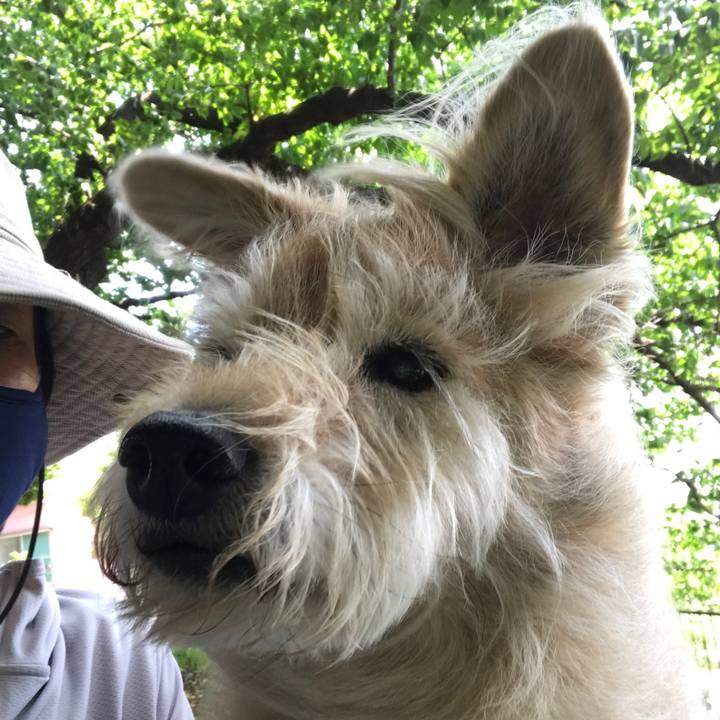 36edcd26 d935 4563 b8e1 d87be71e73fd 1620609441896