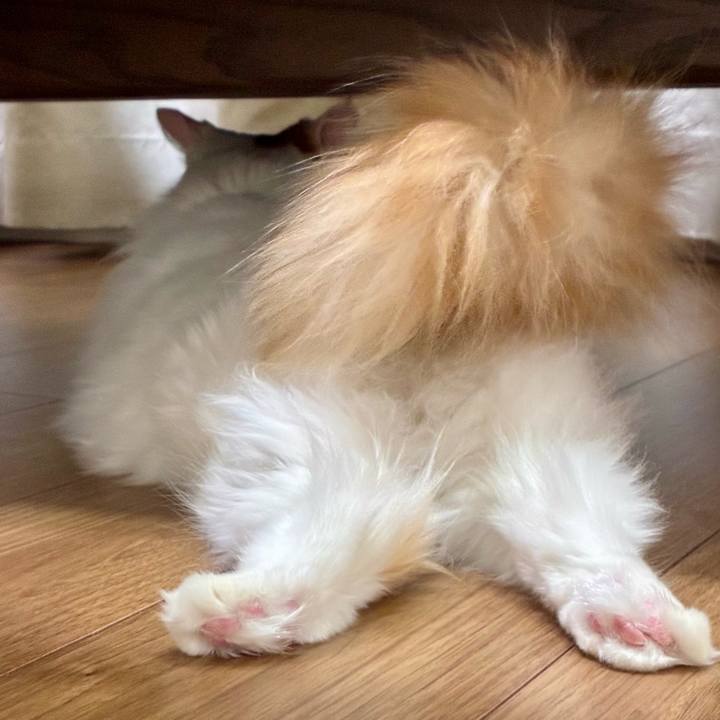 36edcd86 9f93 44cb b4f3 fc6a1765e891 1765511659706