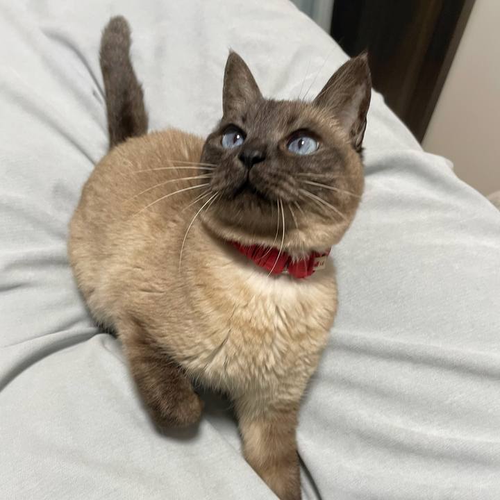 36ede13b 1225 4659 9a91 96b2c1c2966d 1776348280222