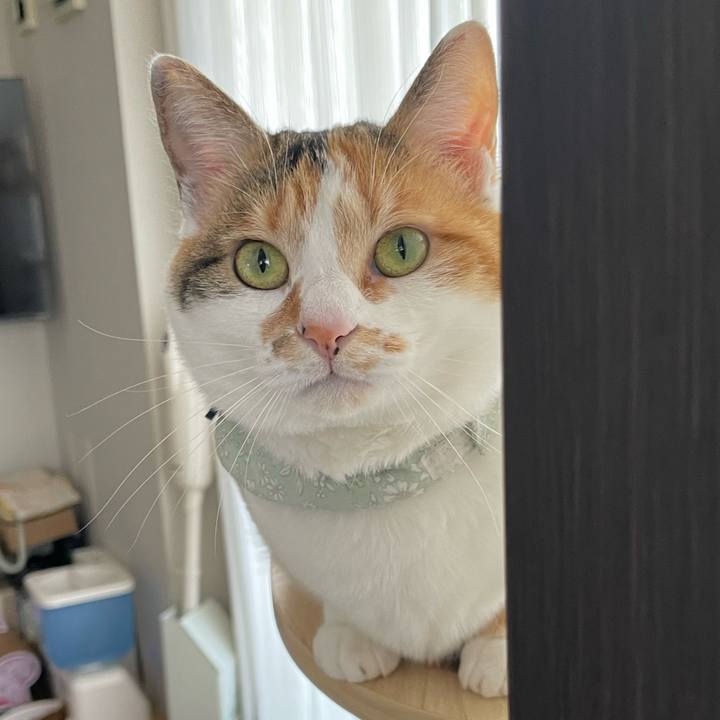 36ede420 89a2 48a9 9a2e 32dab466f8a1 1681861057732