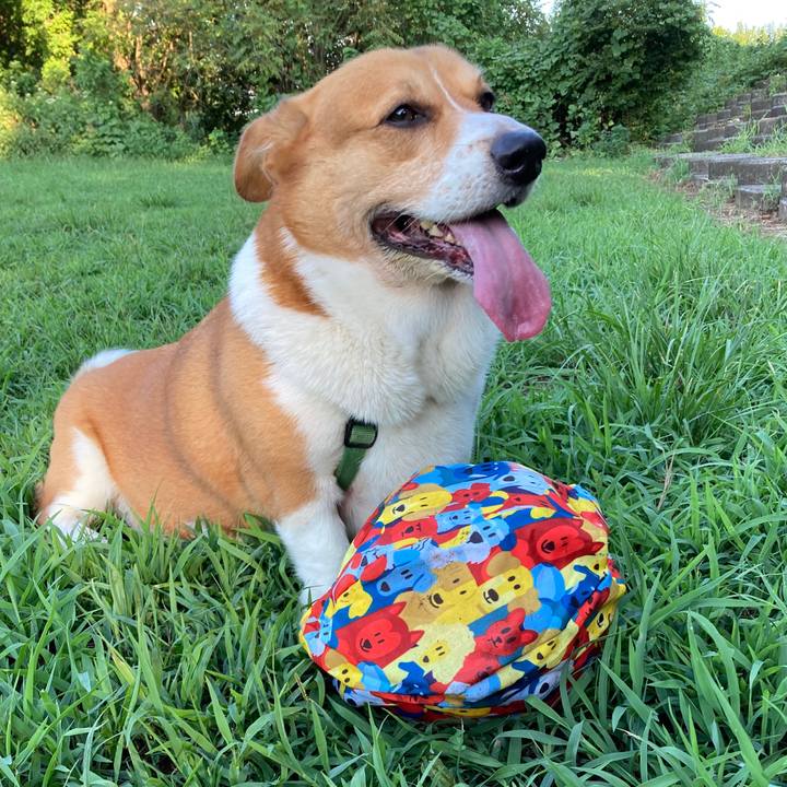 36edeee2 6d61 4780 80a8 efbbcf30ced1 1755763406897