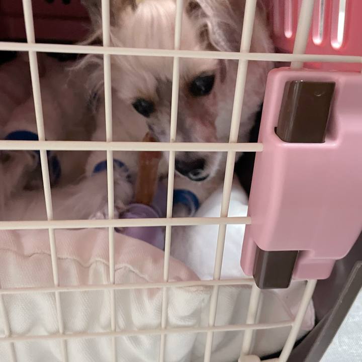 36edfb67 6e34 4591 a519 5e2eb2afddb6 1769077117356