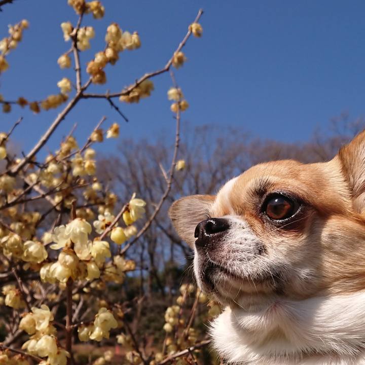 36ee3a76 90c7 4e72 8a45 52b47a219cb5 1581146608537