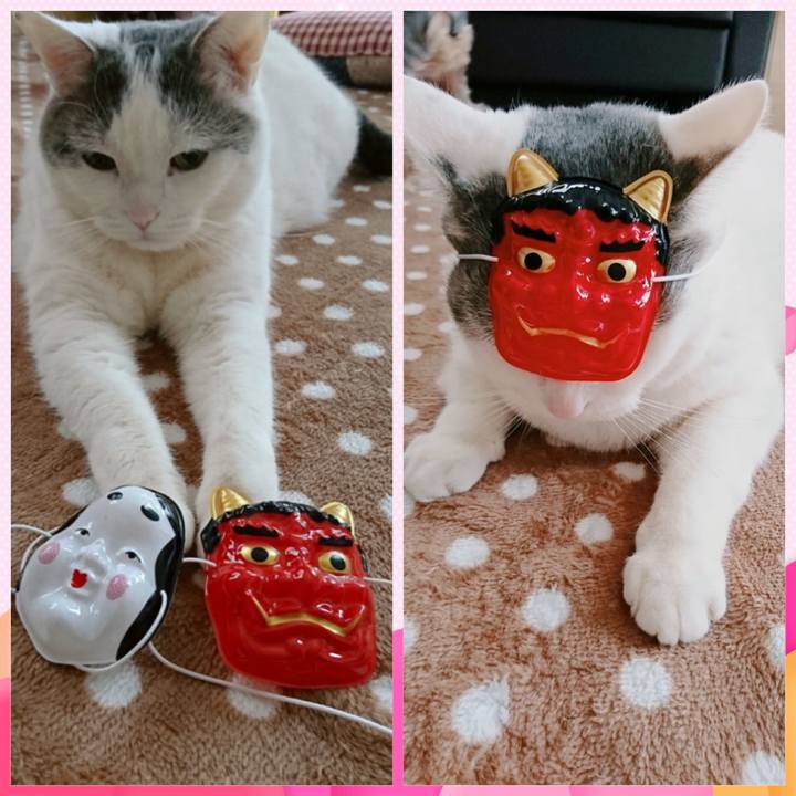 36ee7c11 e417 49fc af3b d29e2bc728f7 1517650601262