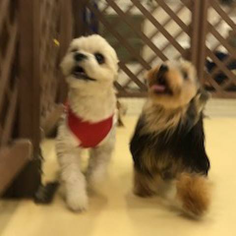 36ee803b 2c9d 4ff7 83c8 186344a30916 1512997243170