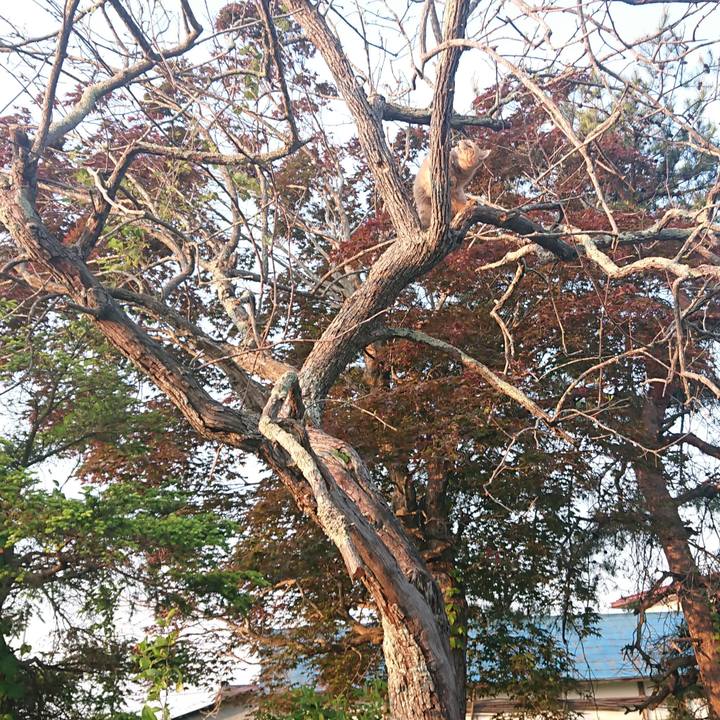 36eeabc8 3e43 4d9c 8441 3554f74799d1 1652907613033