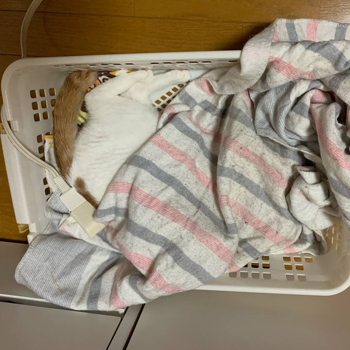 36eeb693 b925 40bb bb7b 53a187adb1ff 1587674023915