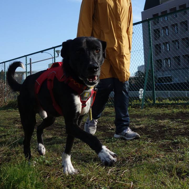 36ef37fa 6b40 4ac2 a4c2 3f5d1edf5e6e 1583198190979