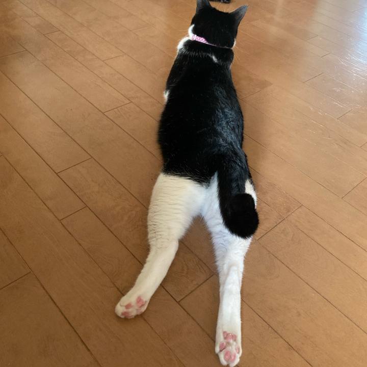 36ef8c7f 7cbf 4f0a b304 5dbc849a1657 1627181542358