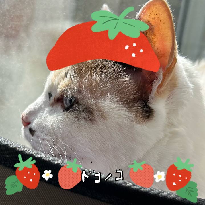 36ef9501 4ee0 4fae a691 2bd665691835 1775866353885