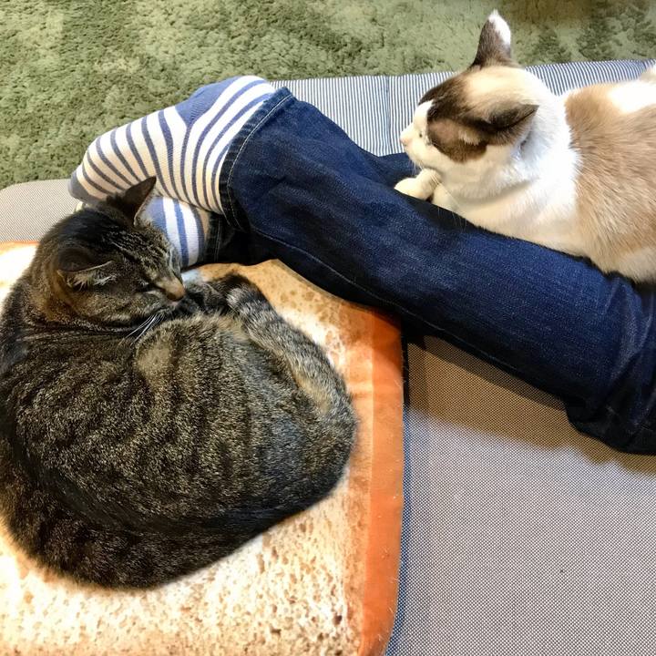 36efa59a 5312 4df3 9a22 d711407207a7 1610260764449