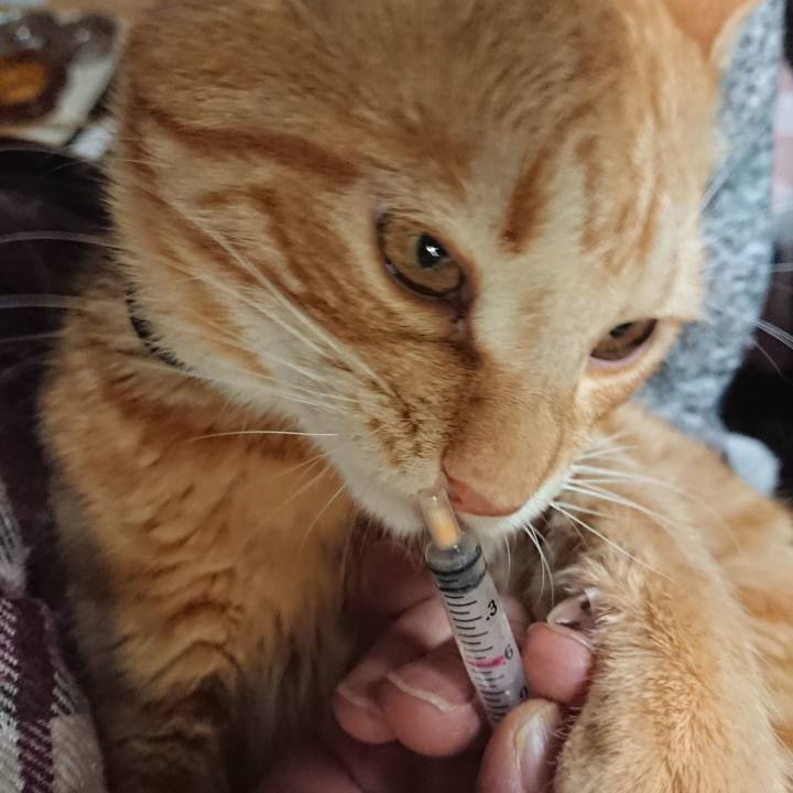 36efbda0 ab2f 4347 b16a 9be19113e1c2 1645703652494