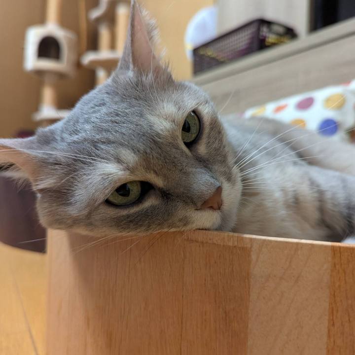 36efbe98 f8b9 478e 9348 71b6706d4301 1747121131588