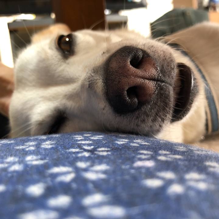 36eff626 4592 4bfa b389 e46369018b3d 1629554433718