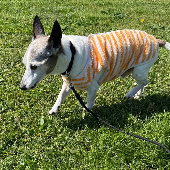 36f00053 d78d 497f 8f3e 3f411b378a95 1774027443134